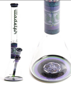Illadelph Custom Beaker (Green & Purple)